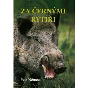 Za černými rytíři - Petr Němec