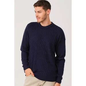 V0214 DEWBERRY MEN'S SWEATER-LACİVERT