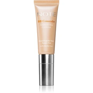 Note Cosmetique BB Concealer dlouhotrvající korektor 02 10 ml