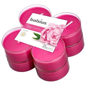 Bolsius Aromatic 2.0 Čajové Maxi 8ks Peony, vonné svíčky