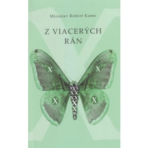 Z viacerých rán - Miroslav Robert Kame