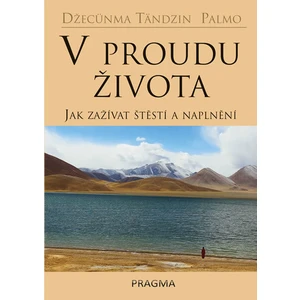 V proudu života - Jak zažívat štěstí a naplnění - Palmo Džecünma Tändzin