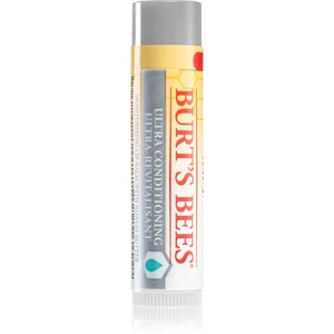 Burt’s Bees Lip Care balzam na suché pery 4.25 g