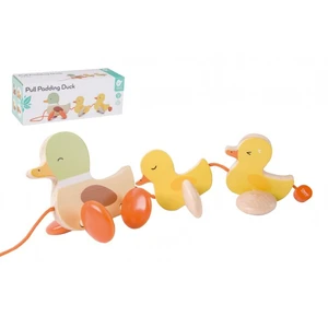 TEDDIES Kachna s kačátky tahací 12m+