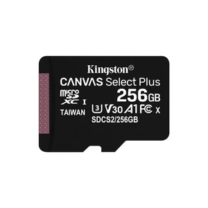 Paměťová karta Kingston Micro 256GB Class 10 UHS-I s adaptérem SD2