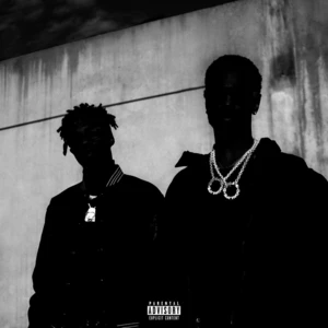 Big Sean Double Or Nothing (LP)