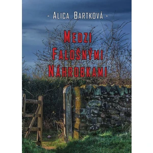 Medzi falošnými náhrobkami - Bartková Alica [E-kniha]