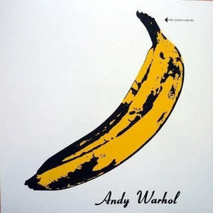 The Velvet Underground Andy Warhol (feat. Nico) (Vinyl LP)