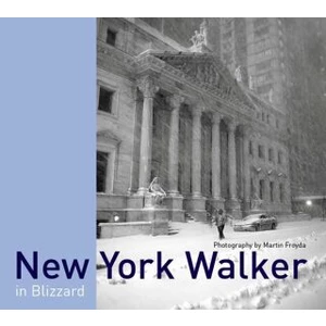 New York Walker in Blizzard (anglicky) - Froyda Martin