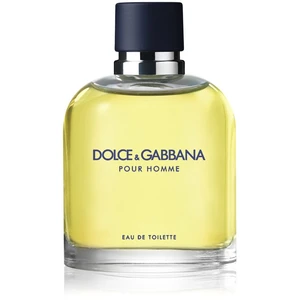 Dolce & Gabbana Pour Homme toaletní voda pro muže 125 ml