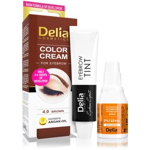 Delia Cosmetics Argan Oil farba na obočie odtieň 4.0 Brown 15 ml