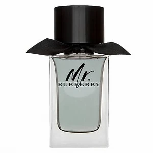 Burberry Mr. Burberry toaletní voda pro muže 100 ml