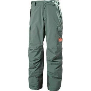 Helly Hansen W Switch Cargo Insulated Pants Trooper L
