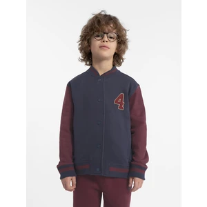 Boys' cotton sweatshirt
