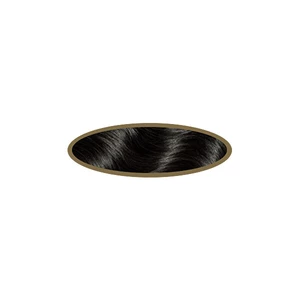 Wella Wellaton Permanent Colour Crème farba na vlasy odtieň 2/0 Black