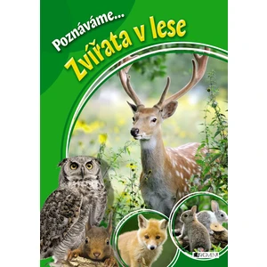 Poznáváme... Zvířata v lese