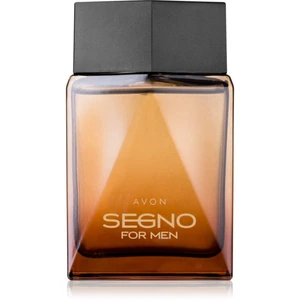 Avon Segno parfémovaná voda pro muže 75 ml