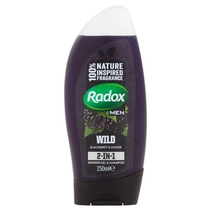 Radox Men Feel Wild sprchový gél a šampón 2 v 1 Blackberry & Ginger 250 ml
