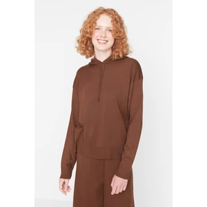 Trendyol Dark Brown Hooded Knitwear Sweater