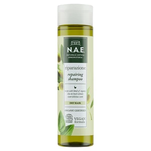 N.A.E. Regenerační šampon pro suché vlasy Riparazione (Repairing Shampoo) 250 ml