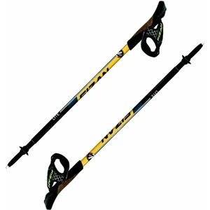 Fizan Lite Bâtons de Nordic Walking