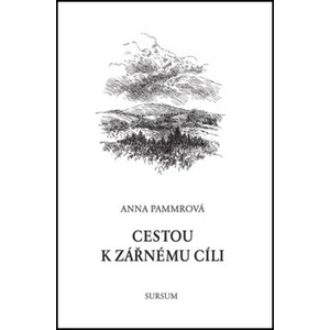 Cestou k zářnému cíli - Anna Pammrová