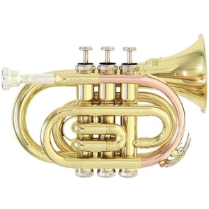 Roy Benson PT-101 Bb Trumpet