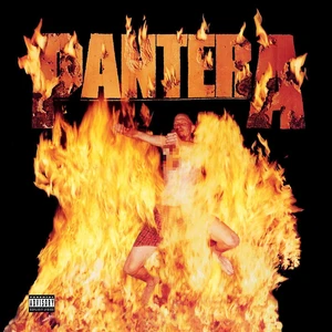 Pantera Reinventing The Steel (LP)