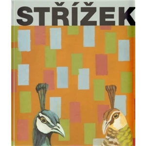 Střížek - Dostál Martin