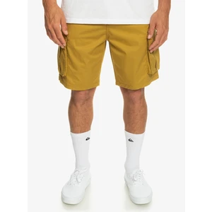 Men's shorts Quiksilver RELAXED CARGO