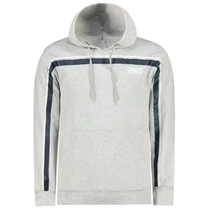 Men's hoodie Aliatic Sport