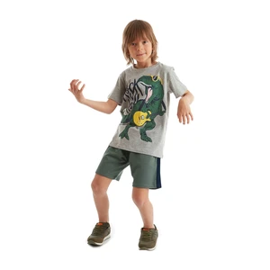 Mushi Rock Dino Boys Shorts Set