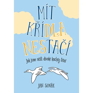 Mít křídla nestačí - Jan Sovák