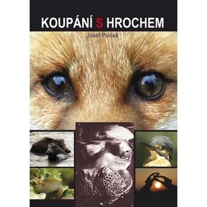 Koupání s hrochem - Josef Ptáček