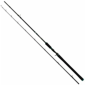 Salmo Tollmaster 2,4 m 40 - 60 g 2 partes