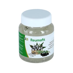 Virde REUMAFIT Kostihojový gél s borievkou a MSM 350 g