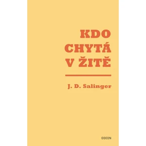 Kdo chytá v žitě - David Jerome Salinger