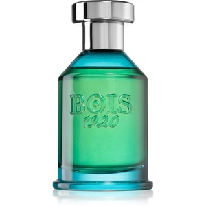 Bois 1920 Verde di Mare parfémovaná voda unisex 100 ml