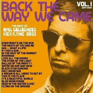 Noel Gallagher - Back The Way We Came Vol. 1 (Box Set) (4 LP + 7" Vinyl + 3 CD)