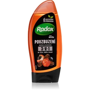 Radox Feel Powerfull 2v1 pánský sprchový gel a šampon  250 ml