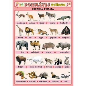 Poznávej zvířata - Exotická zvířata [Tabulky Lamino]