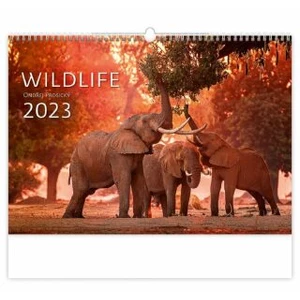 Wildlife 2023 - nástěnný kalendář [Kalendář nástěnný]