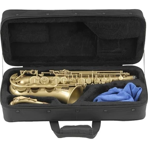 SKB Cases 1SKB-SC340 Alto Schutzhülle für Saxophon