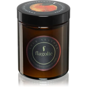 Flagolie Four Seasons Orange & Cinnamon vonná sviečka 120 g