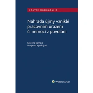 Náhrada újmy vzniklé pracovním úrazem či nemocí z povolání - Margerita Vysokajová, Kateřina Demová