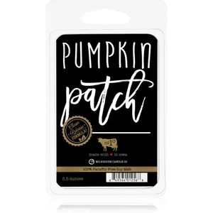 Milkhouse Candle Co. Farmhouse Pumpkin Patch vosk do aromalampy 155 g