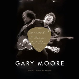 Gary Moore Blues and Beyond (4 LP)