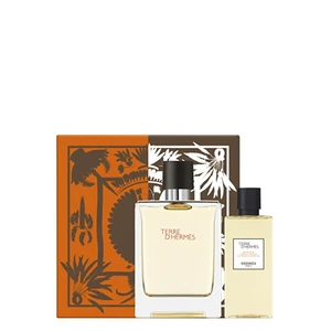 Hermes Terre D´ Hermes - EDT 100 ml + sprchový gel 80 ml