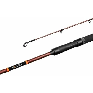 Delphin Exploza Hard 2,7 m 70 g 2 parti