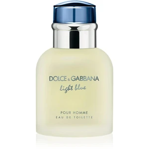 Dolce & Gabbana Light Blue Pour Homme toaletní voda pro muže 40 ml